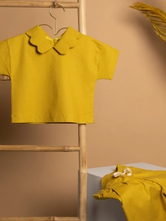 &phi;&omega;&tau;&omicron;&gamma;&rho;ά&phi;&iota;&sigma;&eta; &rho;&omicron;ύ&chi;&omega;&nu; still life