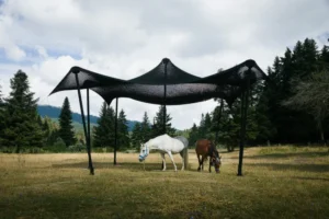 outdoor φωτογράφηση επίπλων στη φύση, πλεχτή τέντα με φόντο λιβάδι και άλογα
